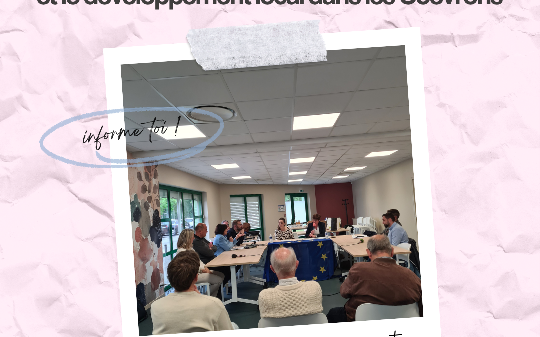 Podcast N°4 : Impact des fonds structurels (FSE) sur l’emploi et le développement local Podcast N°4 : Impact des fonds structurels (FSE) sur l’emploi et le développement local